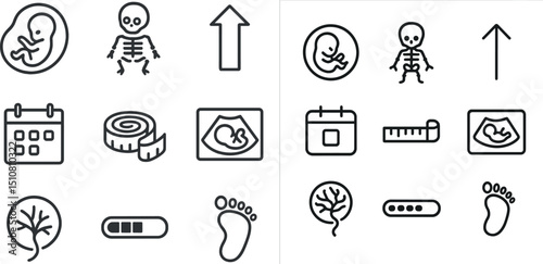 Pregnancy and fetal development icons for education and design projects