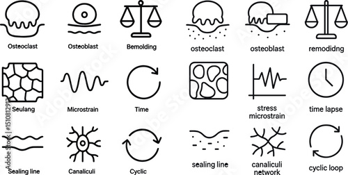 Bone remodeling concepts and symbols for educational design