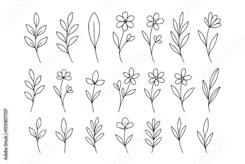  one-line illustrations of leaves, stems, wildflowers, and branches. Use thin, graceful strokes with no color fill. Perfect for branding kits and wall prints.