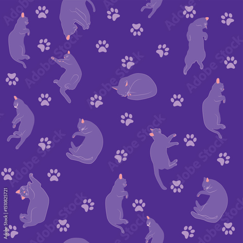 Mystical seamless pattern of cats in boho style, silhouette collection. Esotericism and mysticism, occultism. Cartoon flat vector illustrations, isolated