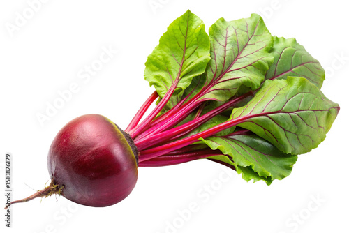 Photos Beetroot with Fresh Green Leaves Attached for Cooking Use Isolated on Transparen