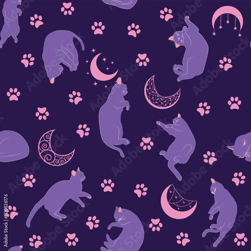 Mystical seamless pattern of cats in boho style, silhouette collection. Esotericism and mysticism, occultism. Cartoon flat vector illustrations, isolated