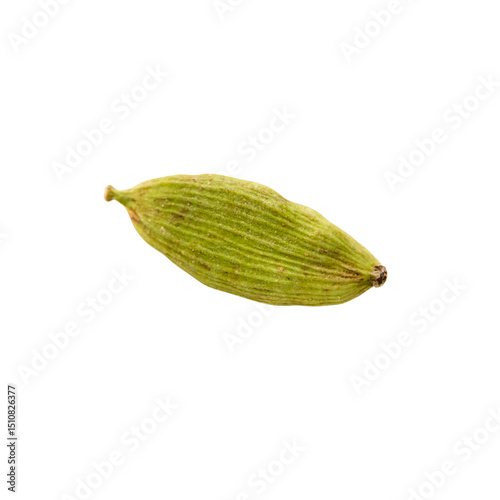 Single Premium Green Cardamom Pod – Exquisite Elettaria Cardamomum for Enhanced Flavor and Aromatic Dishes