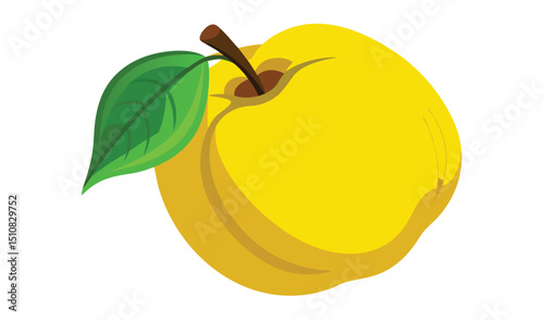 Single ripe yellow quince fruit with leaf