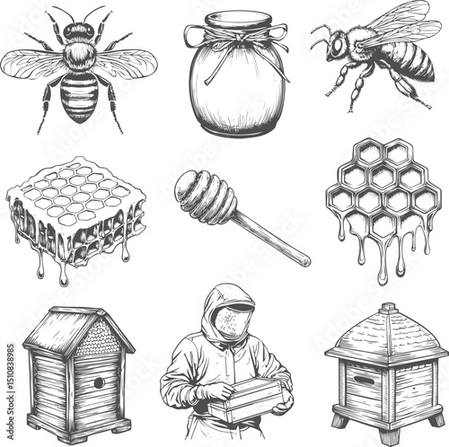 Set illustrations of honey isolated on transparent background. Vector graphics