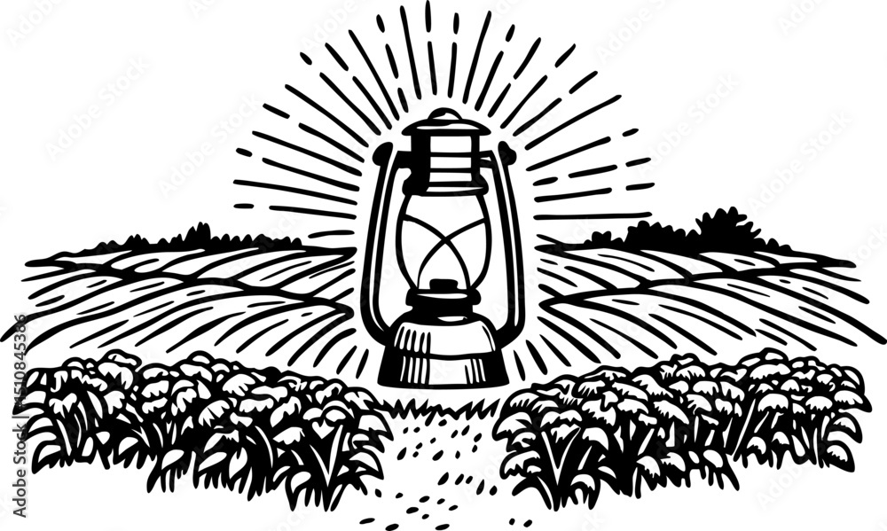 Fototapeta premium Vintage oil lantern illuminating rural farm field black and white nature illustration, sunrise, wildflowers landscape