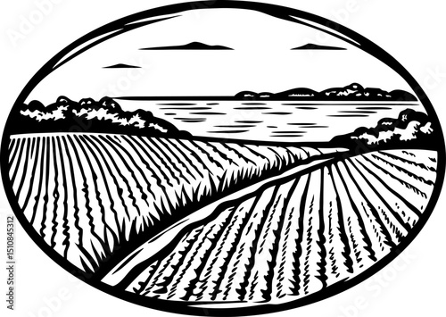 Vast agricultural field landscape with distant hills and sky, hand drawn vintage rural farming illustration