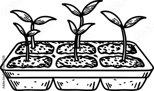 Seedlings growing in tray, young plants sprouting in soil cells gardening and agriculture concept illustration