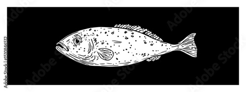flat fish side view hand drawn sea life illustration