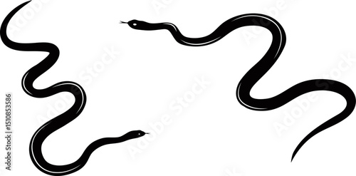 snake on a white background vector