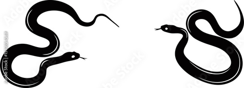 snake silhouette on transparent background
