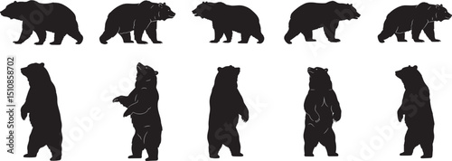 Bear silhouette vector art collection of grizzly bears standing and walking wild animal illustration