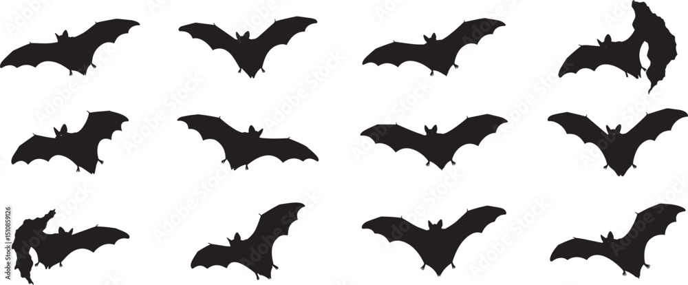 Fototapeta premium Seamless pattern of black bats flying on white background halloween spooky bat vector illustration