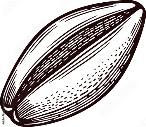 Detailed black and white of a sunflower seed with intricate patterns