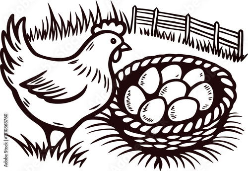 Hen with egg filled nest in rustic farm setting