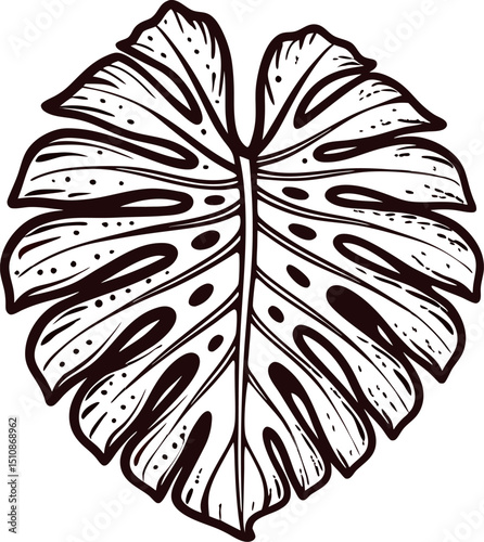 of a monstera leaf with bold line detailing in black and white