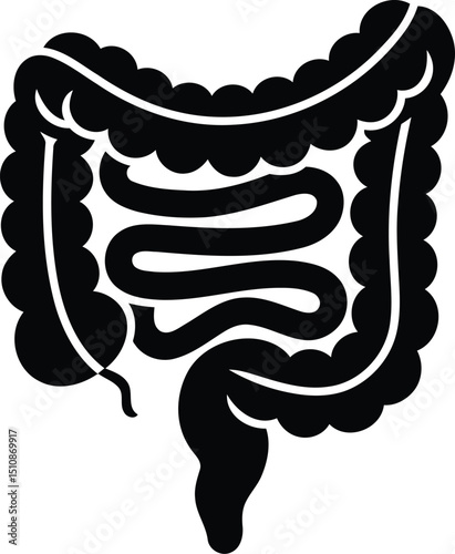 Silhouette Vector of Human Intestines with Large and Small Intestine.