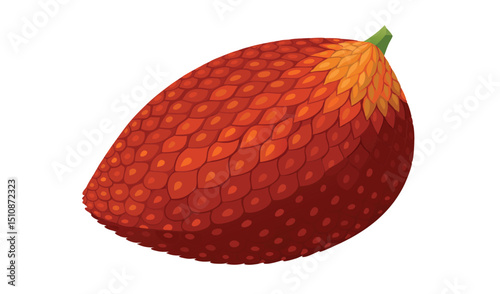Single salak fruit isolated on white background