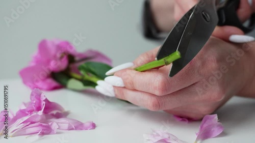 Cutting the stem of a flower with scissors