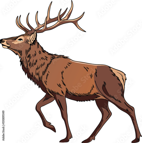 Majestic male elk walking profile illustration wildlife art graphic