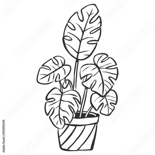 Orchid and flower in pot vector illustration with floral design and nature elements