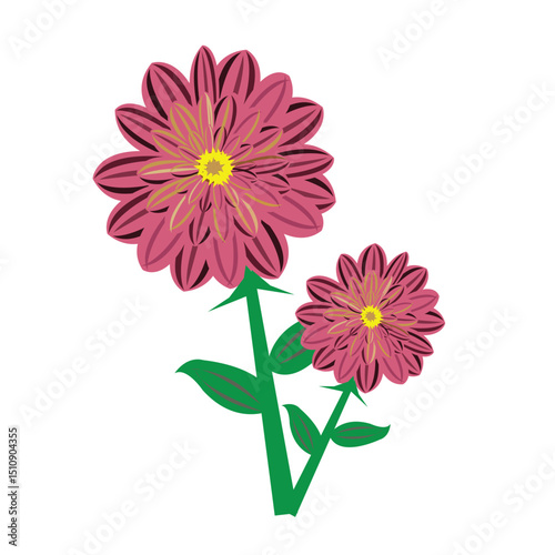 An isolated pink and yellow gerber daisy blossom with vibrant petals in nature
