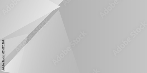 Simple white and gray shape modern abstract background. texture white pattern nice