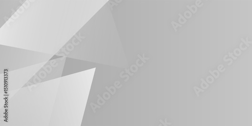 White and gray shape modern abstract background. texture white pattern nice