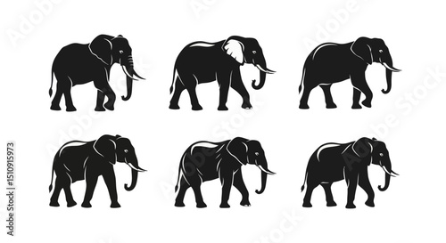 Elephant Silhouette Collection: A graphic collection featuring a variety of elephant silhouettes, perfect for designs, illustrations, or thematic representations.