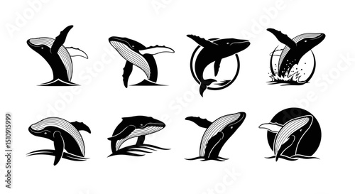 Oceanic Silhouette: A striking collection of whale illustrations, artfully composed to highlight the graceful movements of these majestic creatures of the sea.