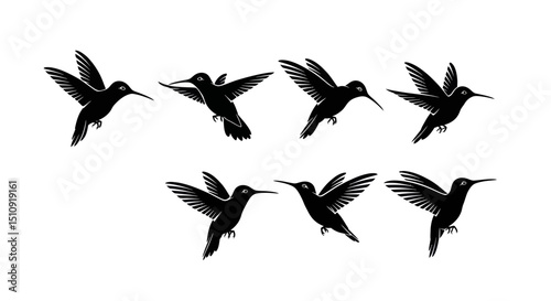 Hummingbird Silhouette: Captures a flock of the tiny, beautiful birds in flight, the silhouette form provides a compelling aesthetic that is sure to stand out.