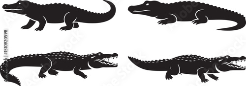 A collection of black crocodile silhouettes in various poses, showcasing different angles and open jaws, isolated on a white background