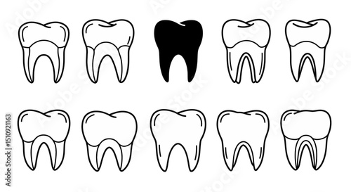 Various tooth illustrations showcasing different sizes and styles in a simple black and white design
