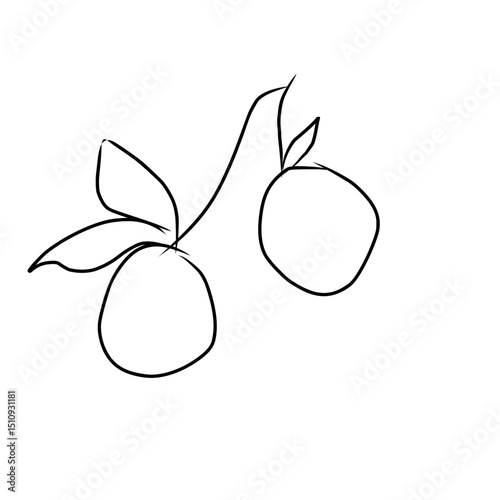 Two minimalist black outlines of oranges on a branch with leaves