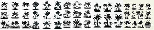 Vector set image silhouette of coconut tree.