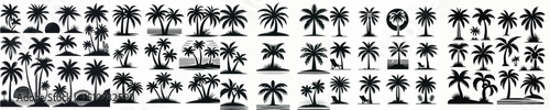 Vector set image silhouette of coconut tree.