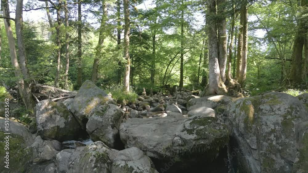 Survol en drone d'une rivière au milieu d'un forêt avec d'étranges installations en pierre