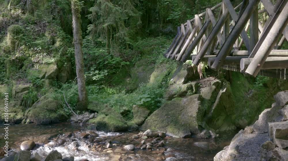Pont en vois traversant une rivière de montagne au milieu de la forât