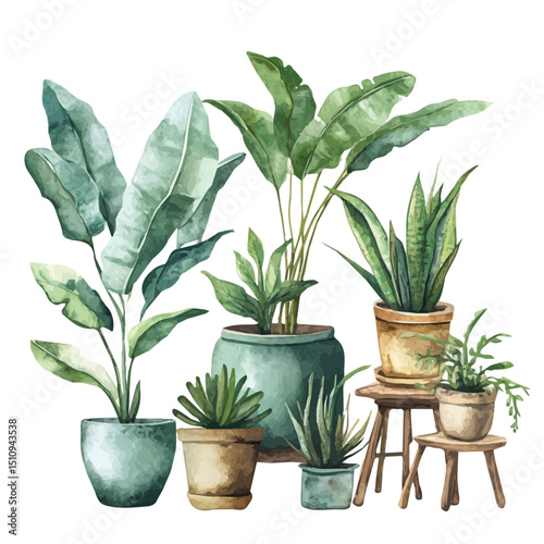 Indoor Plants, watercolor painting vector, high quality, isolated on a white background.
