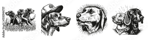 Artistic Illustrations of Bloodhound and German Shorthaired Dogs, vector illustration, engraving design, logo design set, black and white line