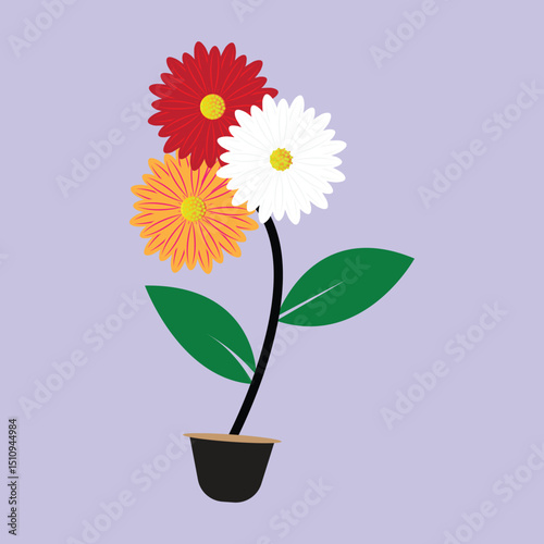 Three flower potted plant illustration