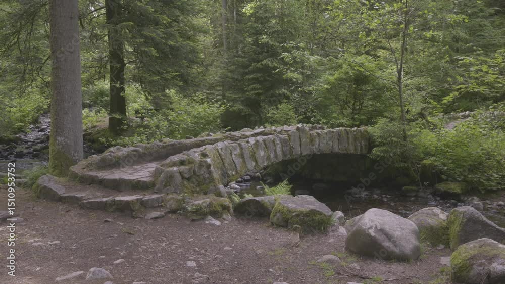 La Vologne près de Gerardmer aux iles Marie Louise, forêt, rivière et pont en pierre