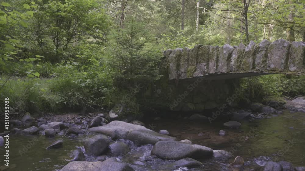 rivière coulant sous un vieux pont en pierre dans une forêt des Vosges - Iles Marie Louise Gérardmer