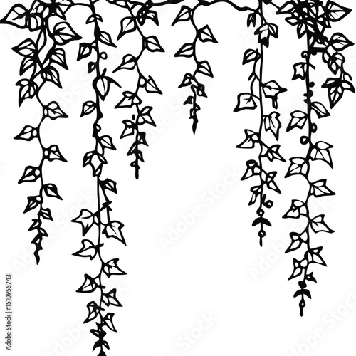 black and white background with leaves