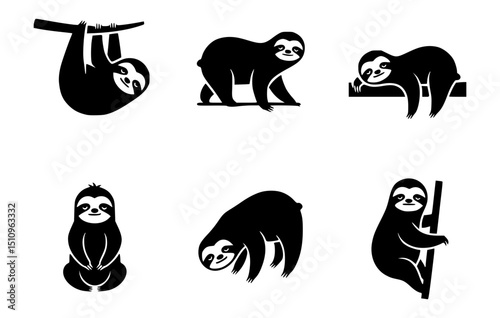 Various charming illustrations of sloths in different positions, showcasing their unique charm