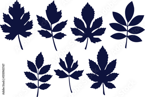 Seven dark blue leaf silhouettes with varying shapes arranged on a white background in two rows
