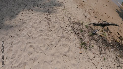 Footprints in the soft sand with a shadow of a person’s foot, capturing the tranquility of a beach walk in Phuket.
