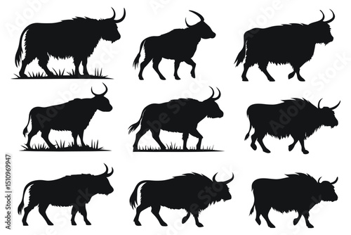 black and minimalist of-crazy scottish vector	
