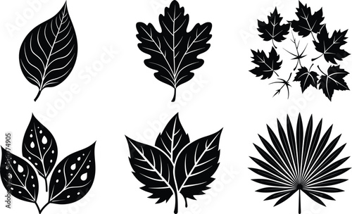 vector set of leaves white background