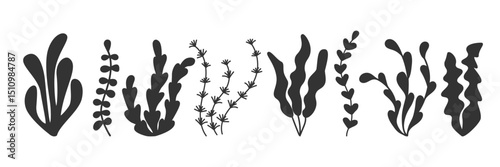 Black Seaweed silhouettes set. Simple minimalist sea plants. Black and white Underwater icons for ocean themed design, vacation prints, packaging, sticker, summer graphic, organic packaging, patterns